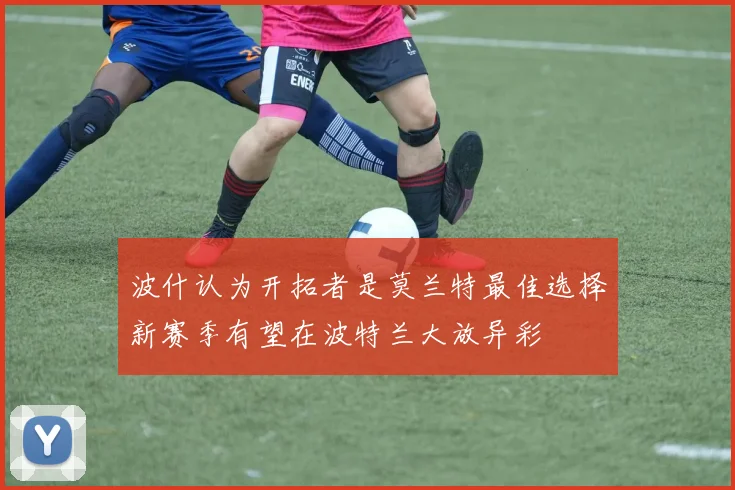 波什认为开拓者是莫兰特最佳选择新赛季有望在波特兰大放异彩
