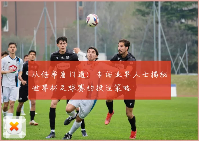 从倍率看门道：专访业界人士揭秘世界杯足球赛的投注策略